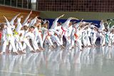 Bild 1 of 41